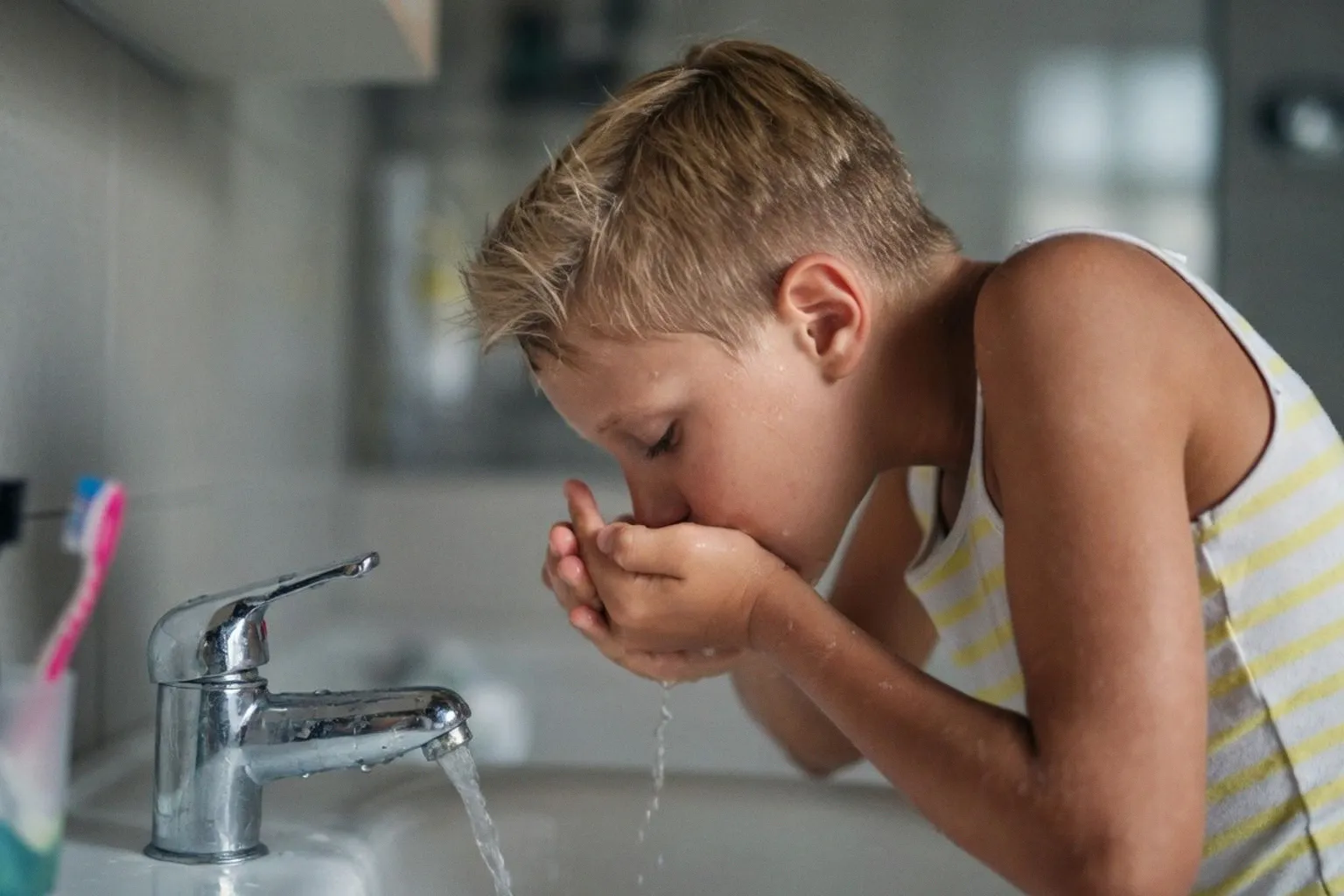 Assessing Community Concerns and Research Gaps in North East Water Fluoridation Plans