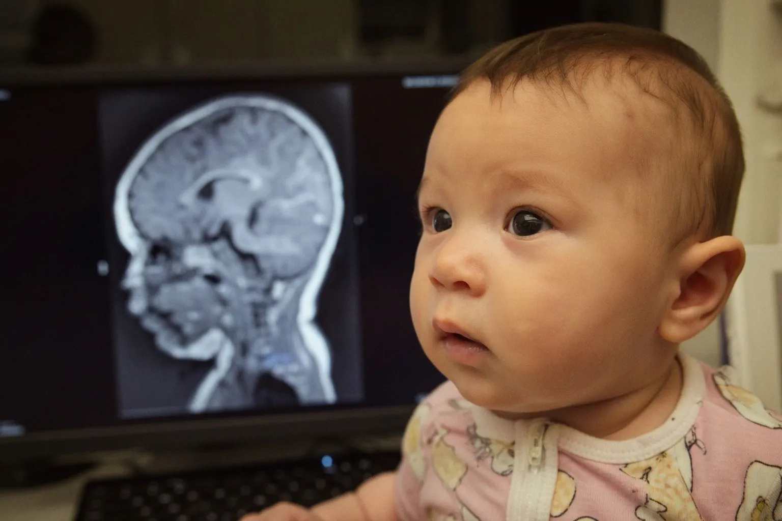 University of Hawaii Launches $3.3M Study on Microplastics and Infant Brain Development